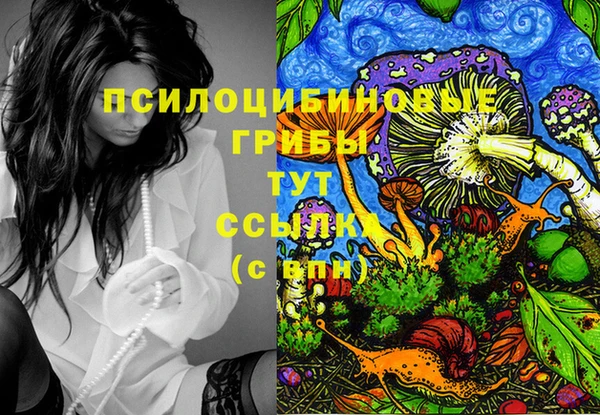 крисы Артём