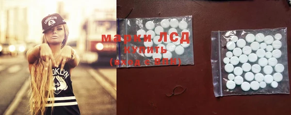 СК Бердск