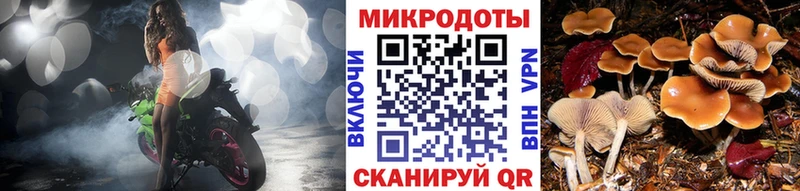 Псилоцибиновые грибы ЛСД  shop клад  Хадыженск 